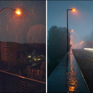 Meet your Posher, Daisy